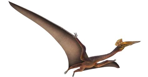  Quetzalcoatlus! Een reptiel met vleugels die groter waren dan sommige vliegtuigen